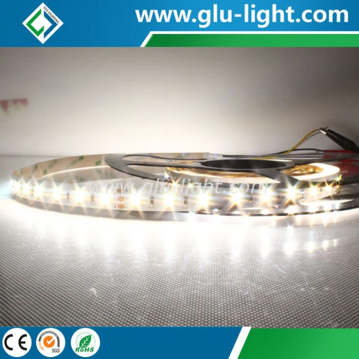 24V dual color W/WW 2 colors in 1 high CRI Ra90 5630 flex led tape 60leds