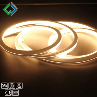 Striscia LED al neon ad alta tensione 110V 220V IP67 di alta qualità